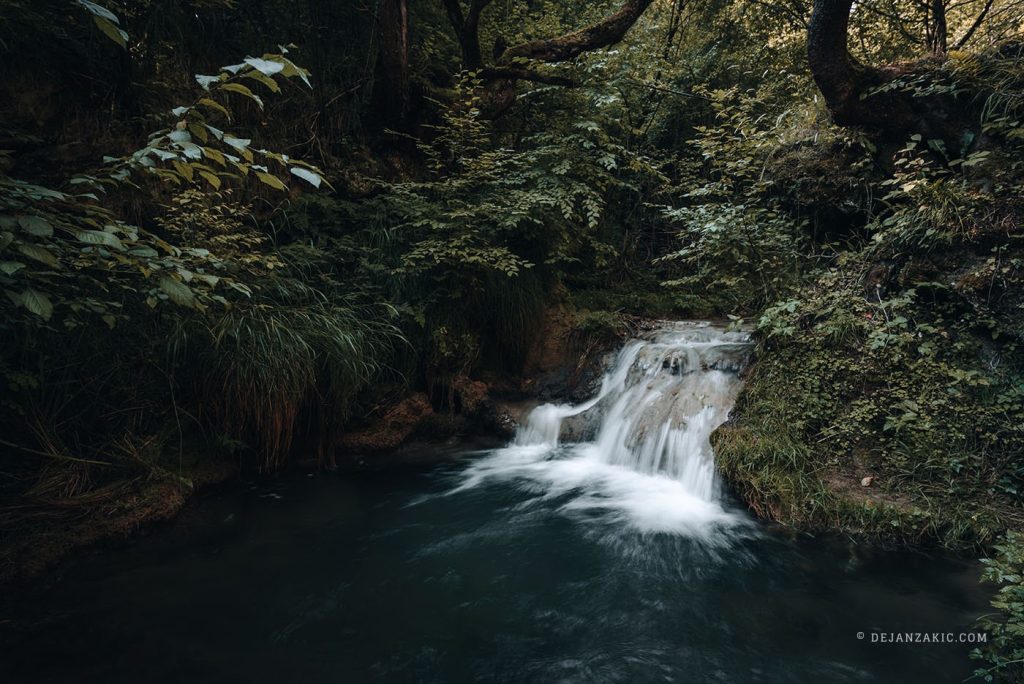 Small waterfall in a dark green forest
