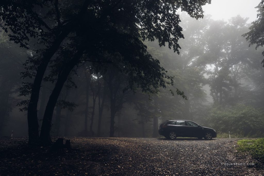 Car on a foggy forest road at dusk