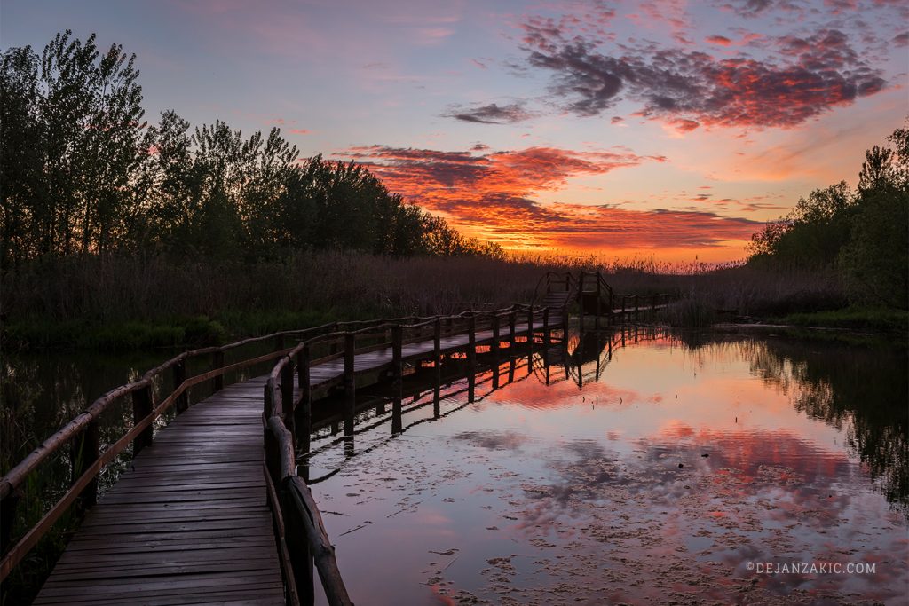 Sunset over a lake with a wooden boardwalk