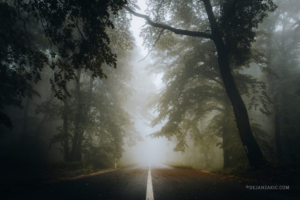 Sunlight through a foggy forest road