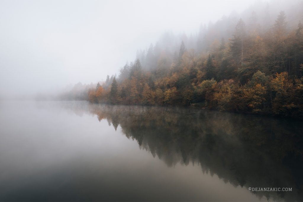 Misty forest reflected in a still lake