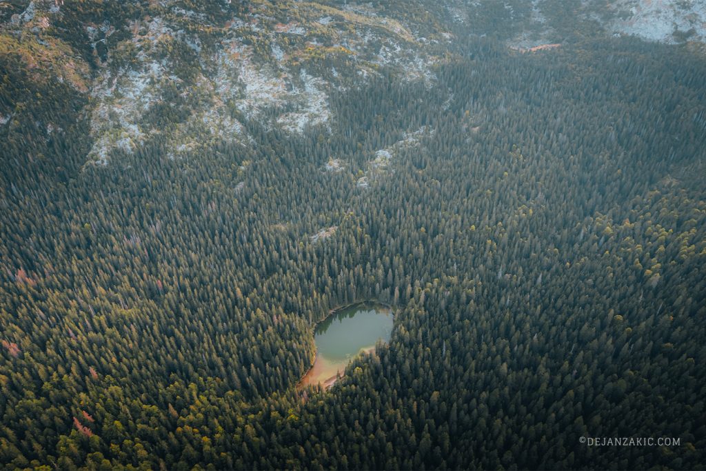 Aerial view of a lake hidden in the forest
