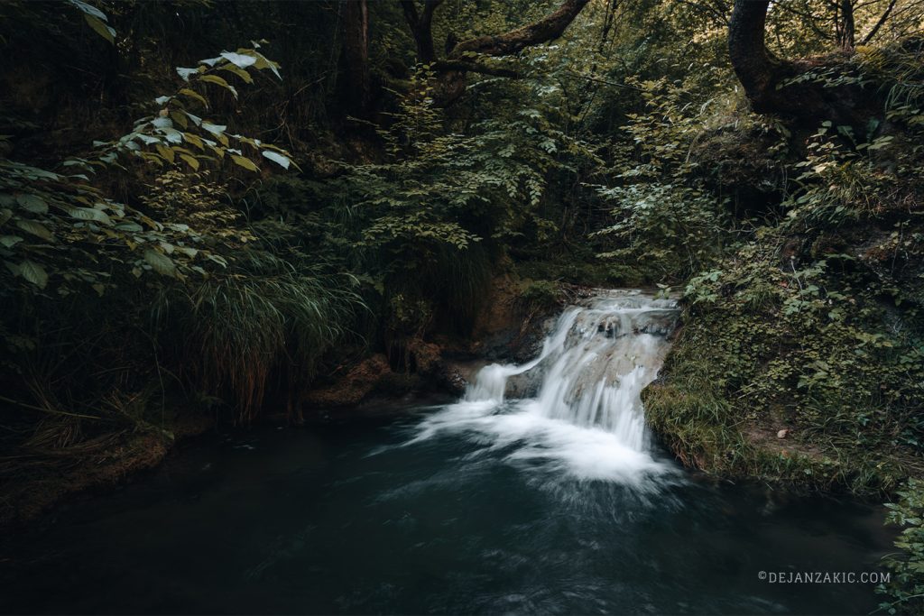 Waterfall in a mossy forest